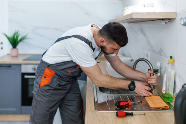 Best Local Plumber Services  in Roslyn Heights, NY