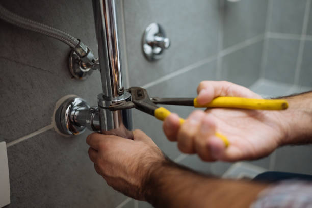 Best Plumbing Inspection Services  in Roslyn Heights, NY